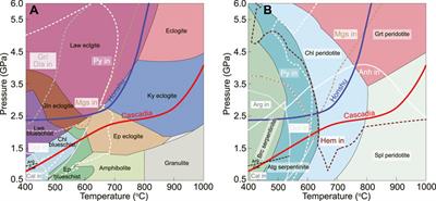 Redox species and oxygen fugacity of slab-derived fluids: Implications for mantle oxidation and deep carbon-sulfur cycling